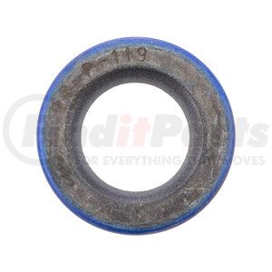 28P119 by CHELSEA - Oil Seal - 1.379 X .875