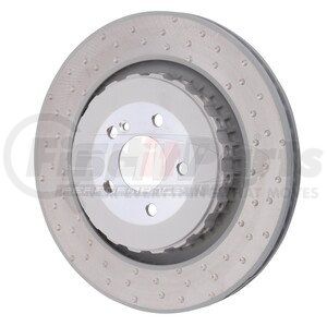 TRX42212 by SHW PERFORMANCE - Disc Brake Rotor