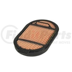 P615493 by DONALDSON - Air Filter, Safety Obround