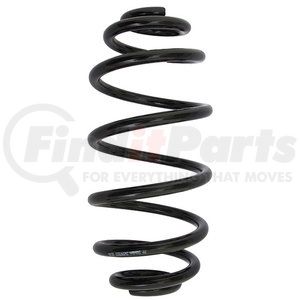 34597822 by PROFESSIONAL PARTS - Coil Spring - Rear, Standard