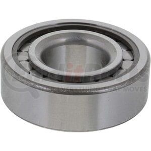 10038914 by DANA - Differential Pilot Bearing - Cylindrical Roller