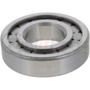 10038915 by DANA - Differential Pilot Bearing - Cylindrical Roller, 1.37 in. ID, 3.14 in. OD, 0.82 in. Thick