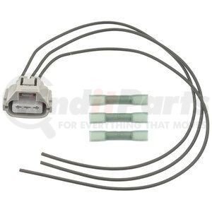 S2537 by STANDARD IGNITION - Intermotor Park and Turn Signal Socket Connector
