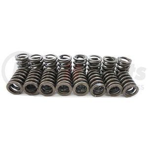 S-1052 by PIONEER - Engine Valve Spring Kit