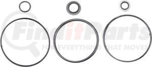SK-1779 by APSCO - Hydraulic Cylinder Seal Kit - For use on C-6000 Series Tailgate Cylinders 3/4" Rod