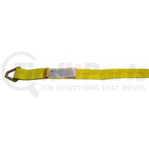 23101227 by DOLECO USA - 2"x27' Winch Strap w/ Delta Ring