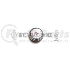 Interstate-McBee A-8923313 Pipe Plug Pipe Plug