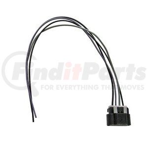 FW909 by AUTOBEST - Fuel Pump Wiring Harness