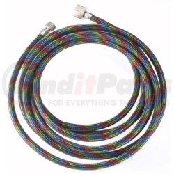 4010 by IWATA - BT010 - 10' Braided Nylon Hose