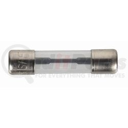 2421F by THE BEST CONNECTION - 30 Amp SFE Glass Iron-Head Fuse 2 Pcs