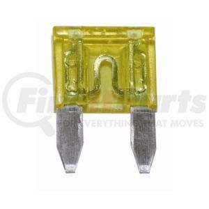 20309F by THE BEST CONNECTION - 30 Amp Green Mini Fuse 2 Pcs