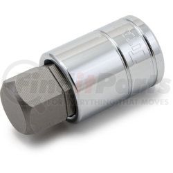 15621 by TITAN - Hex Bit Socket, 1/2" Drive, 21mm, Chrome