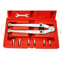 8120 by CTA TOOLS - Pin Spanner Set