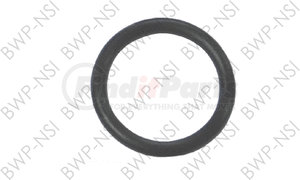 BWP-NSI M-1095 O RING