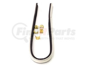 4488 by PAI - Door Window Belt Weatherstrip - Includes FCL-4487 Clips