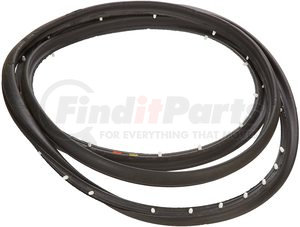 15975379 by GENERAL MOTORS - WEATHERSTRIP ASM FRT S/D