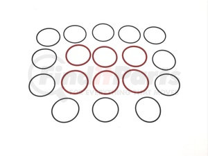 SER60KIT by DIVERSIFIED SHAFT SOLUTIONS (DSS) - INJ ORING
