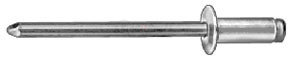 8880 by AUVECO - Pan L Rivets 3/8"