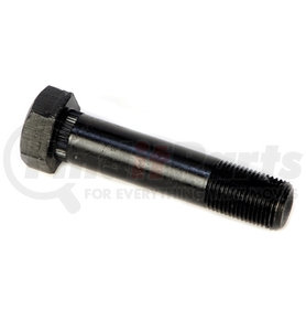 126A1LN by REDNECK TRAILER - 3/4" Wet Equalizer Bolt with O Zerk-Nut