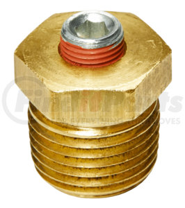 BCV-0500 by AMERICAN MOBILE POWER - Bottom Check Valve Drain and Plug - 1/2" NPT