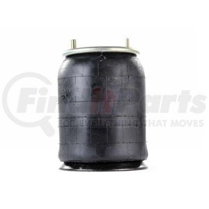 Firestone W013589321 Suspension Air Spring Kit AIRSPRING