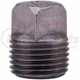 0818902538 by ANVIL INTERNATIONAL - 1-1/2 In. Black Malleable Square Head Plug 150 PSI Lead Free