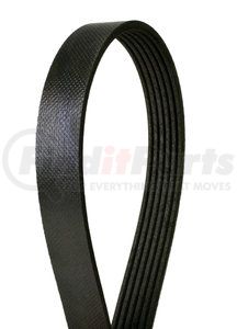 4060498 by CONTINENTAL AG - Automotive Multi-V Belt