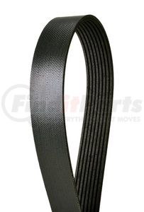 4080825 by CONTINENTAL AG - Automotive Multi-V Belt