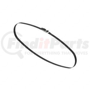 A18-73128-000 by FREIGHTLINER - TIEDOWN STRAP-MICROWAVE