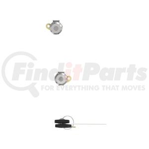 A22-77318-010 by FREIGHTLINER - Door and Ignition Lock Set - Key Code Cust Spec