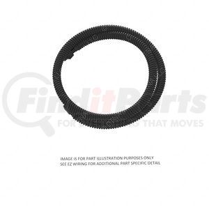 Freightliner A06-74174-000 Devices Shutdown Wiring Harness Devices Shutdown Wiring Harness
