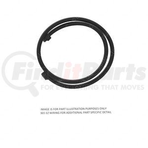 Freightliner A06-61419-000 Devices Shutdown Wiring Harness Devices Shutdown Wiring Harness