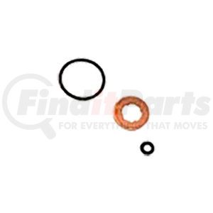 DT671010 by DIPACO - Injector o-ring and seal kit.