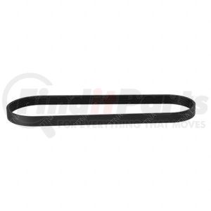 01-32732-445 by FREIGHTLINER - Accessory Drive Belt - 8 Rib, EPDM, Poly, 2445 mm