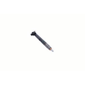 Delphi EX631089 Fuel Injector Fuel Injector