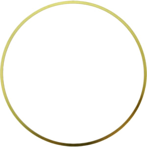 Cummins 5298564 Cylinder Liner Shim Cylinder Liner Shim