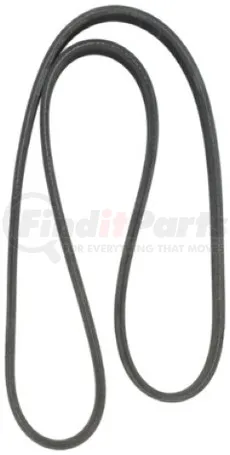Continental D4060729 Dual-Sided Poly-V/Serpentine Belt 