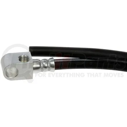First Stop Dorman H380385 Hydraulic Brake Hose Dorman First Stop Dorman H380385 Hydraulic Brake Hose Dorman