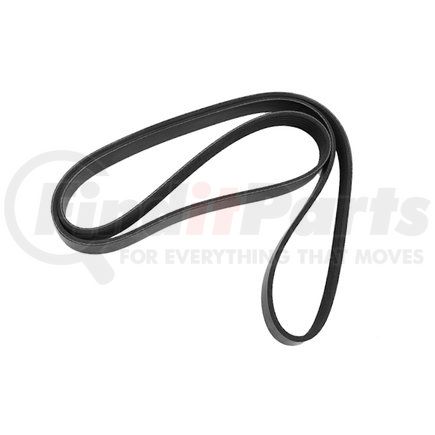 d84-1000-9061547 by KENWORTH - Accessory Drive Belt - 6 Ribs, 61.02 in., EPDM, For Cummins Westport Engine Models