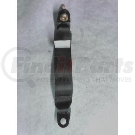 3672136C2 by NAVISTAR - Seat Belt