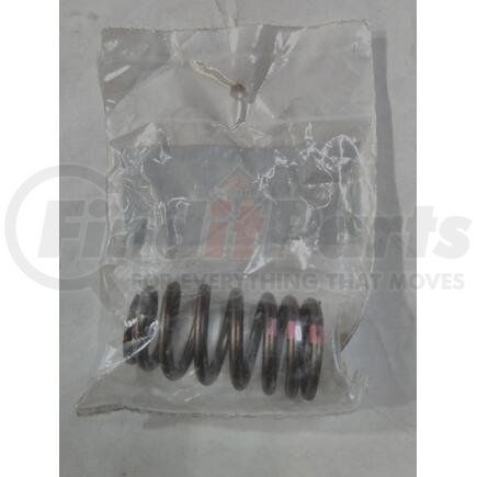 6040446C1 by NAVISTAR - SPRING,VALVE SPRING