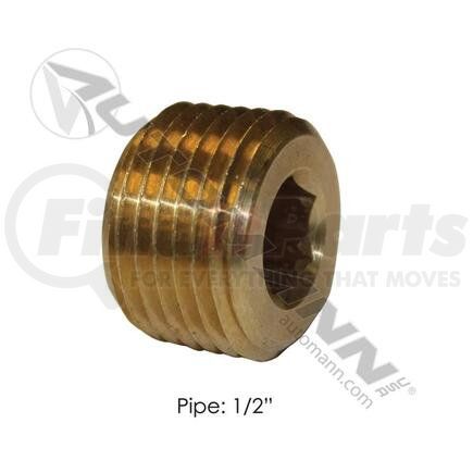 177.9118D by AUTOMANN - COUNTERSUNK HEX HEAD PLUG 1/2N