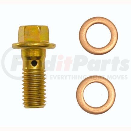 H9501-2 by CARLSON - Brake Hydraulic Banjo Bolt