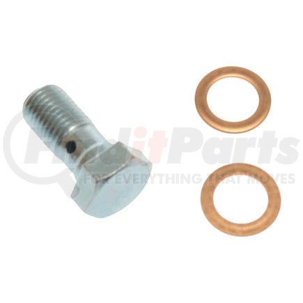 H9474-2 by CARLSON - Brake Hydraulic Banjo Bolt