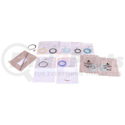 G001990011320 by AGCO - SEAL KIT