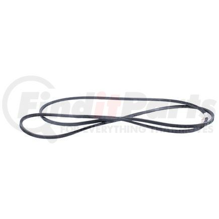 WWB1749458 by AGCO - V-BELTS