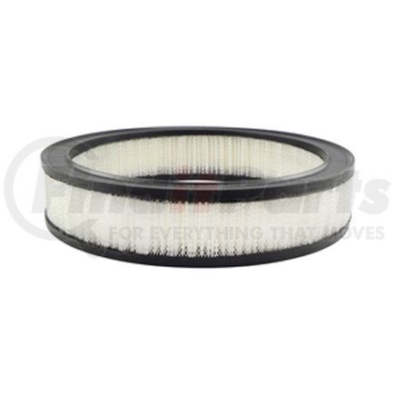 PA2006 by BALDWIN - Engine Air Filter - used for Gm Automotive, Light-Duty Trucks