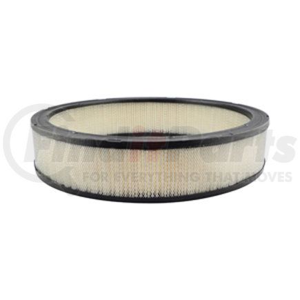 PA2002 by BALDWIN - Engine Air Filter - used for Ford Automotive, Light-Duty Trucks, Vans