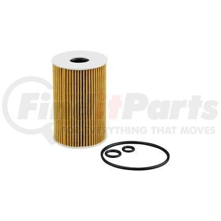 ECOGARD X10231 Engine Oil Filter OIL FILTER