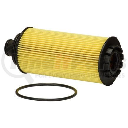 ECOGARD X10504 Engine Oil Filter OIL FILTER